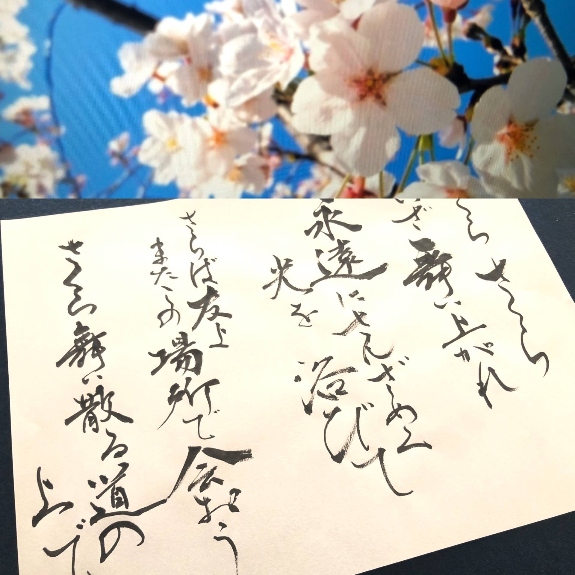 歌詞書き 書道 森山直太郎さん さくら 歌詞書き 書道 森山直太郎さん さくら